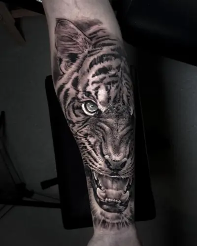 Tatouage d’Orizon : tigre en noir et gris